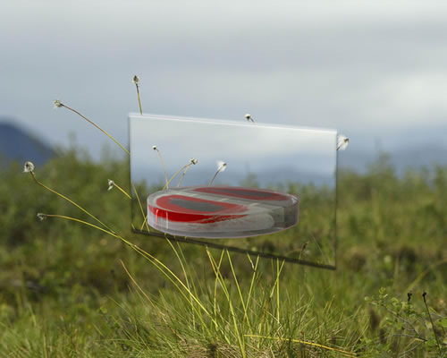 Glass sculpture red floating disc fields